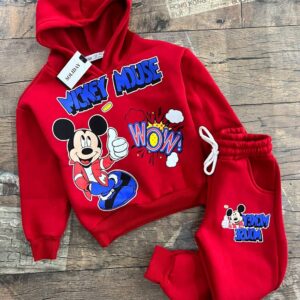 erkek Çocuk Şardonlu kapşonlu takım