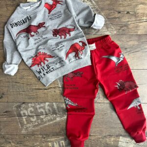Dinozor Baskılı Erkek Çocuk Alt Üst Takım