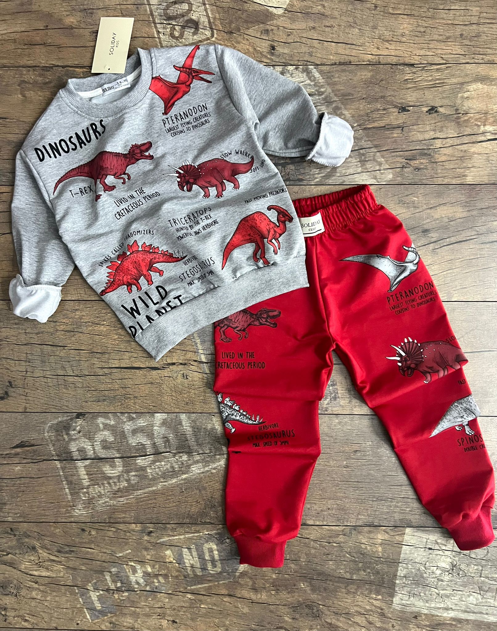 Dinozor Baskılı Erkek Çocuk Alt Üst Takım