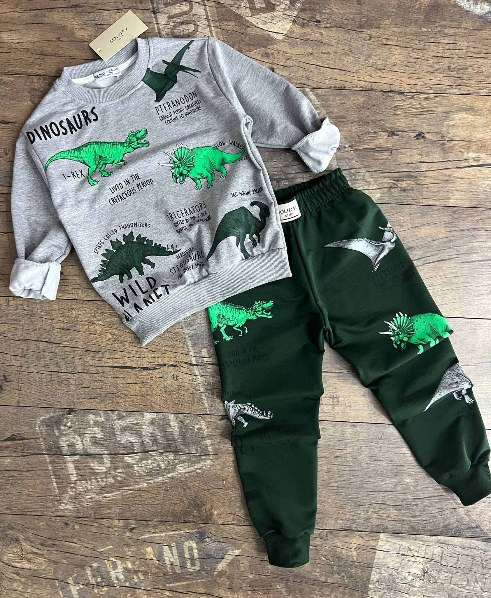 Dinozor Baskılı Erkek Çocuk Alt Üst Takım - Görsel 2