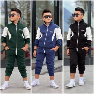 Erkek Çocuk Dik Yaka Şardonlu Fermuarlı Takım